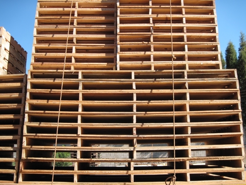 Fábrica de Pallets de Madeira de Eucalipto Porto Feliz - Fábrica de Pallets de Madeira em Pinus