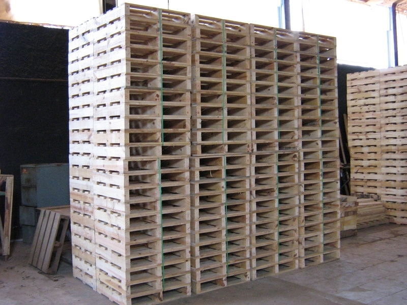Fábrica de Pallets de Madeira para Carga Osasco - Fábrica de Pallets de Madeira em Pinus